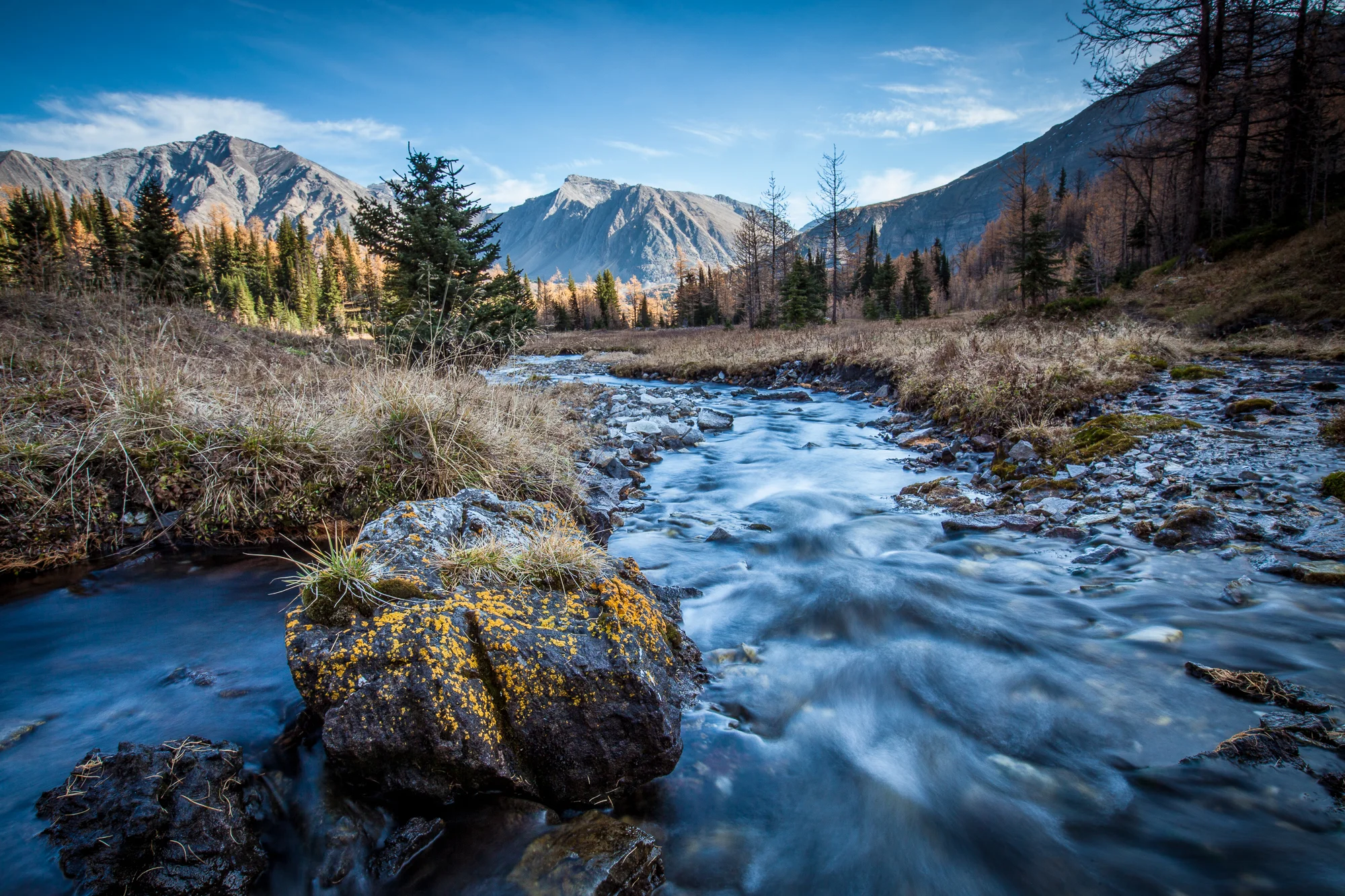 _MG_2936-Edit-Edit.jpg