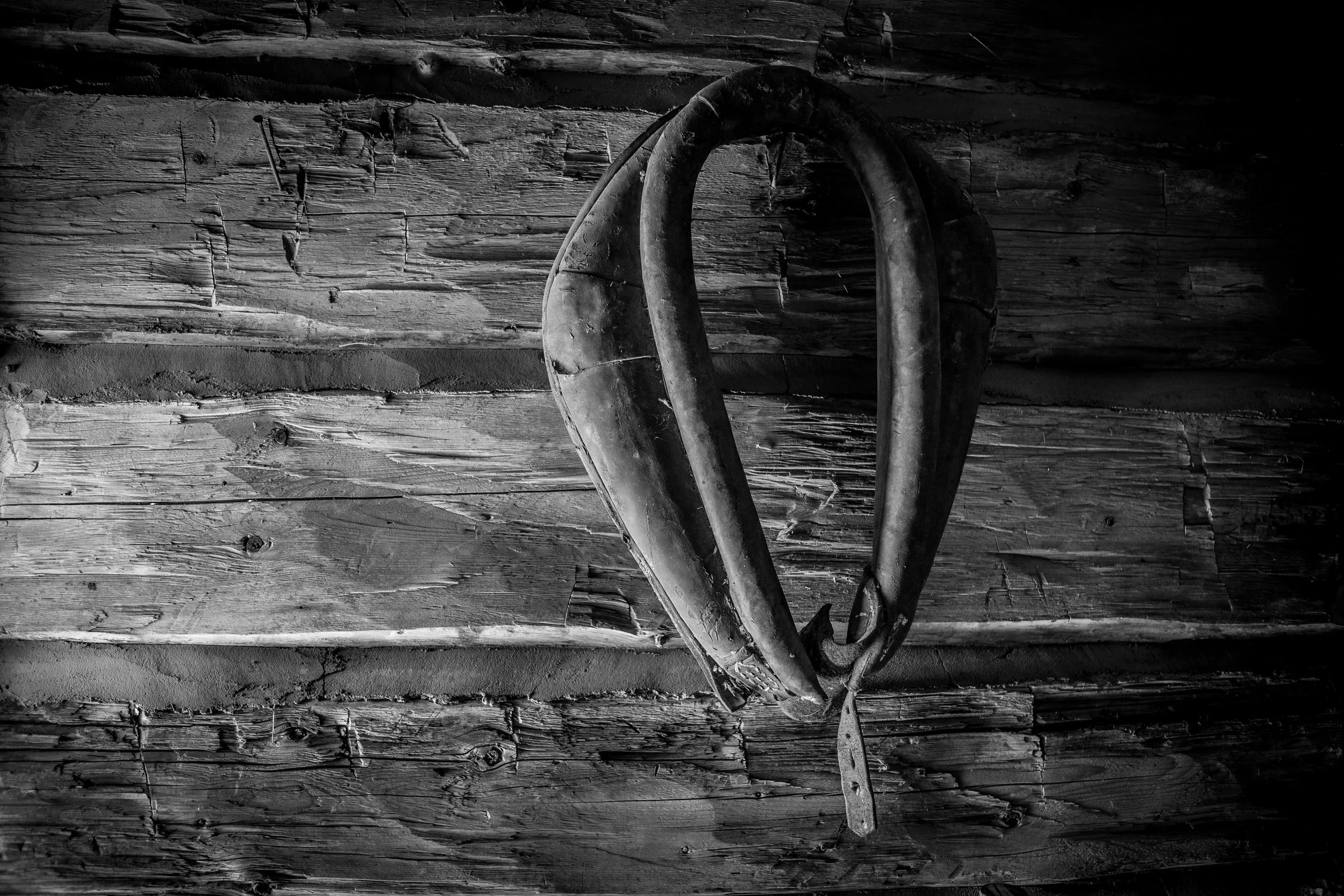 _MG_9175.jpg