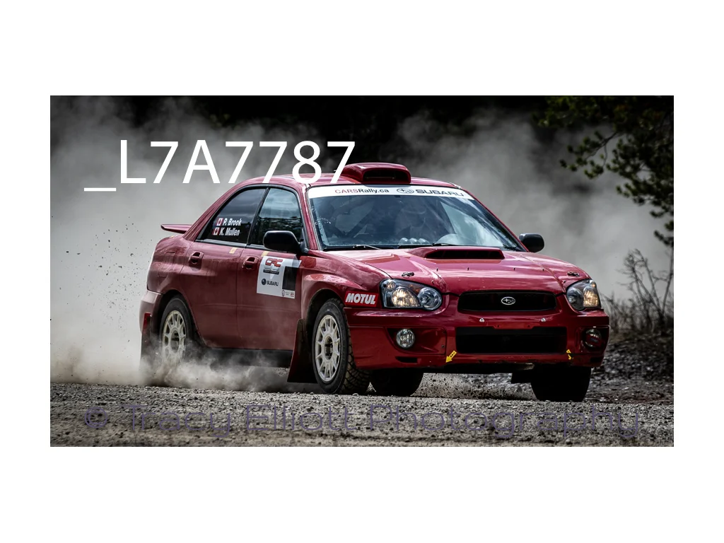 Rally-32.jpg