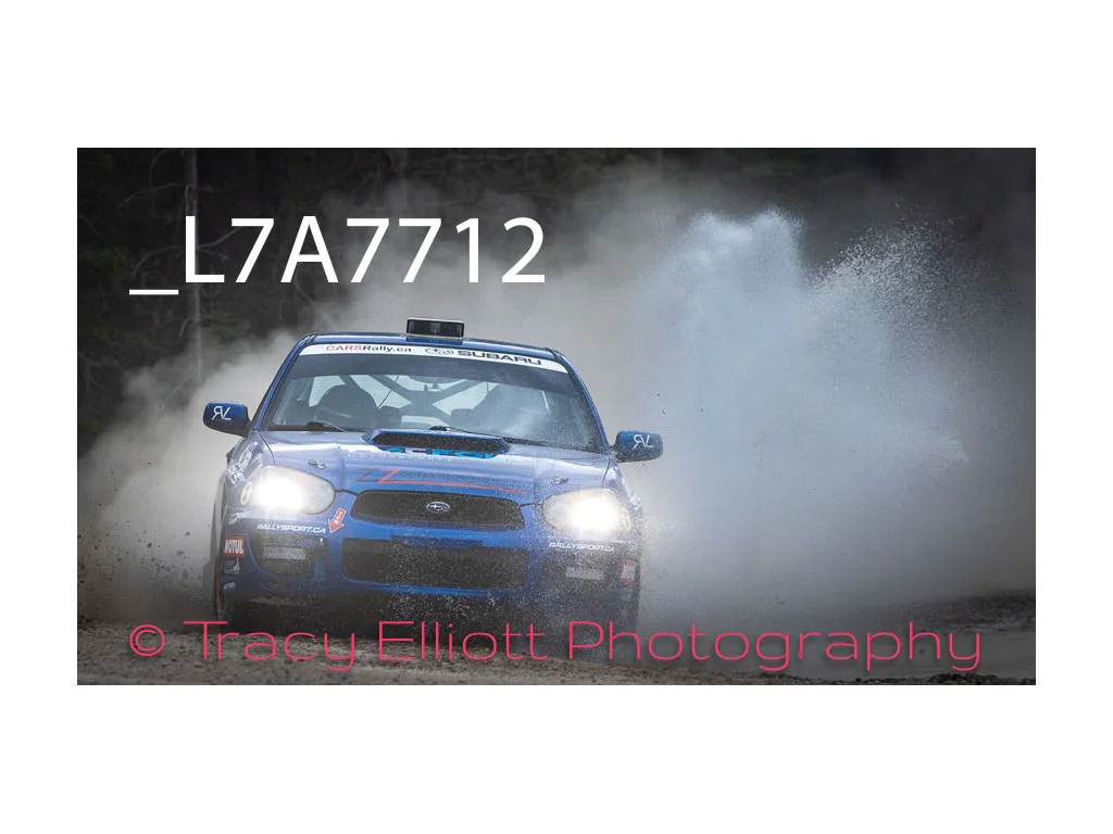 Blue Subaru-03.jpg