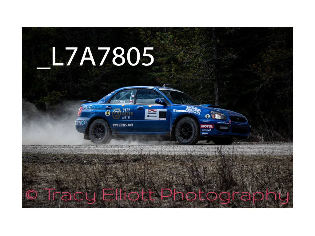 Blue Subaru-16.jpg