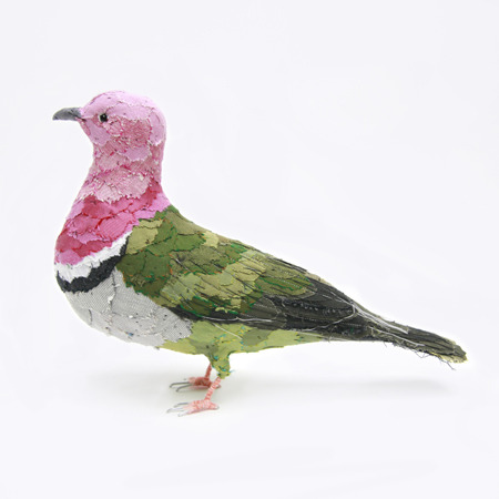 Pink Headed Fruit Dove