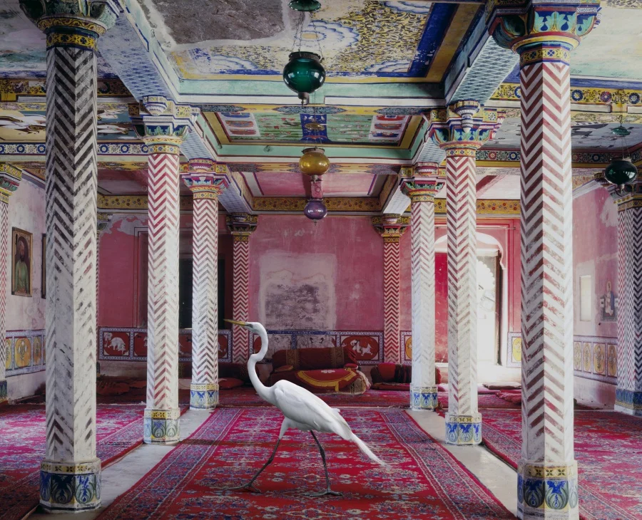 Karen Knorr