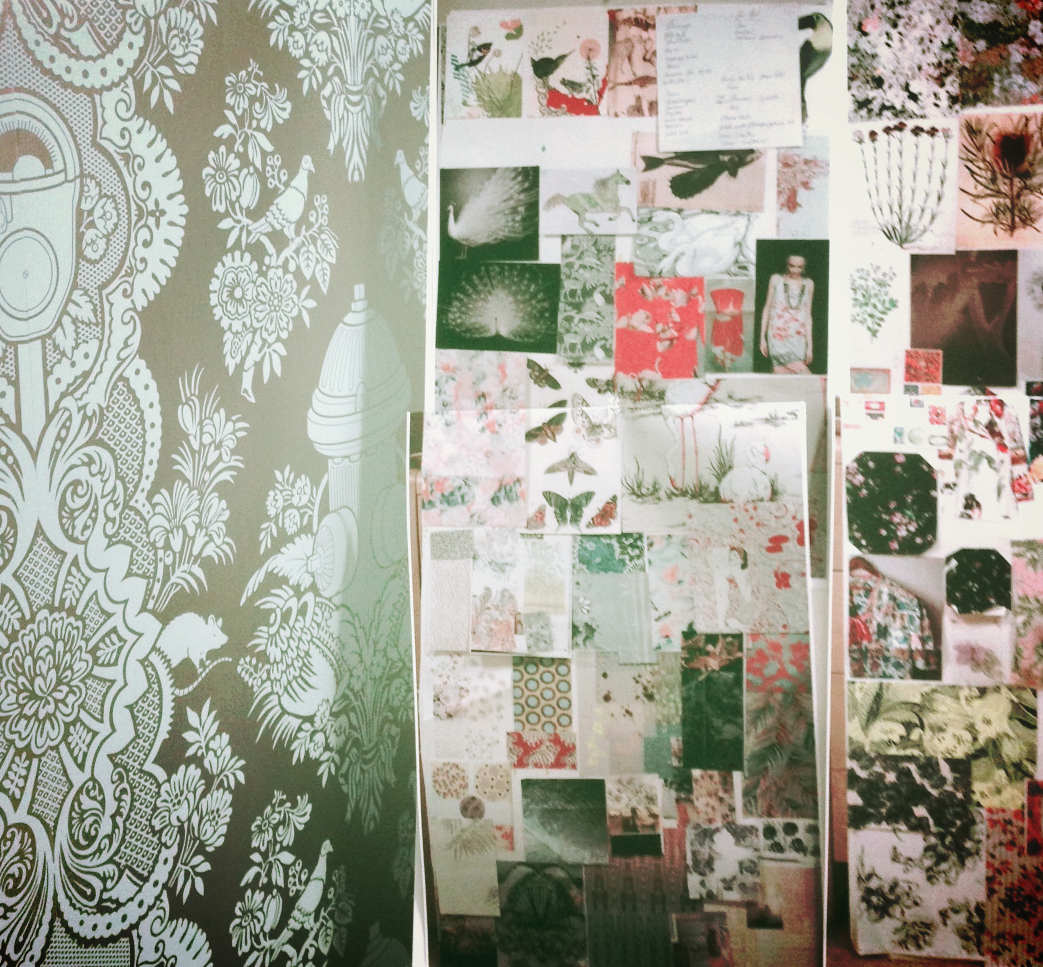 Anne Marie Jackson Concept develpment.