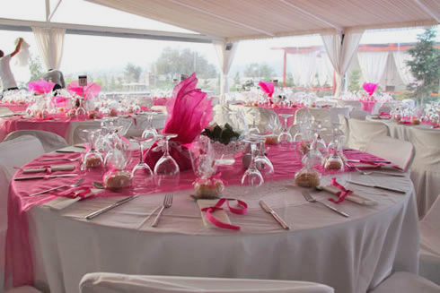 ΓΑΜΟΣ ΜΕΧΡΙ ΤΙΣ 8 ΤΟ ΠΡΩΙ ΣΤΟ ΚΤΗΜΑ ΝΙΚΟΛΑΟΥ