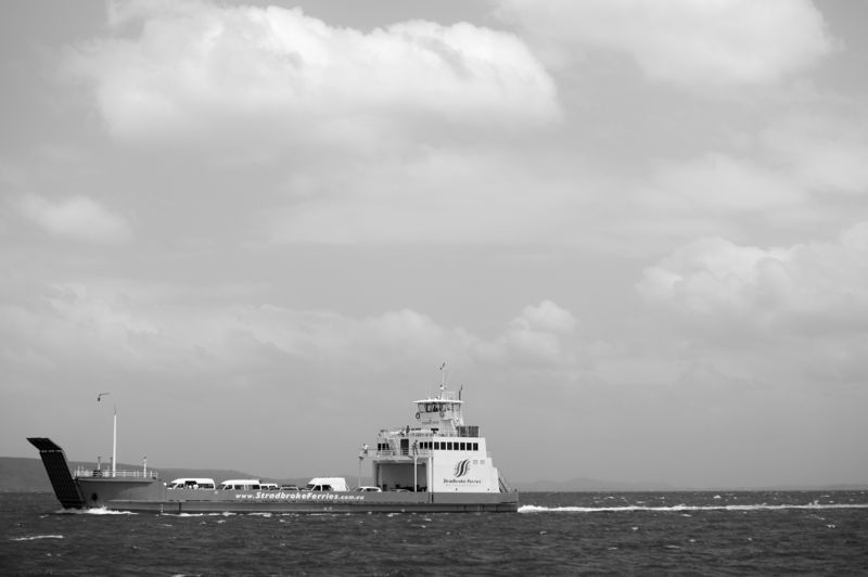 Island Vibe 2013002.jpg