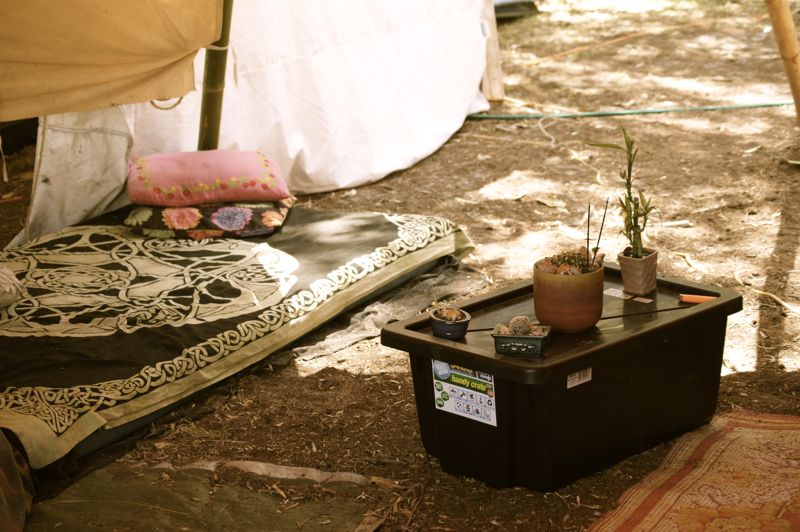 Island Vibe 2013038.jpg