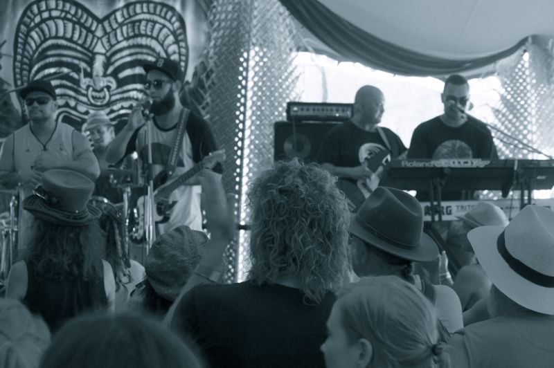 Island Vibe 2013092.jpg