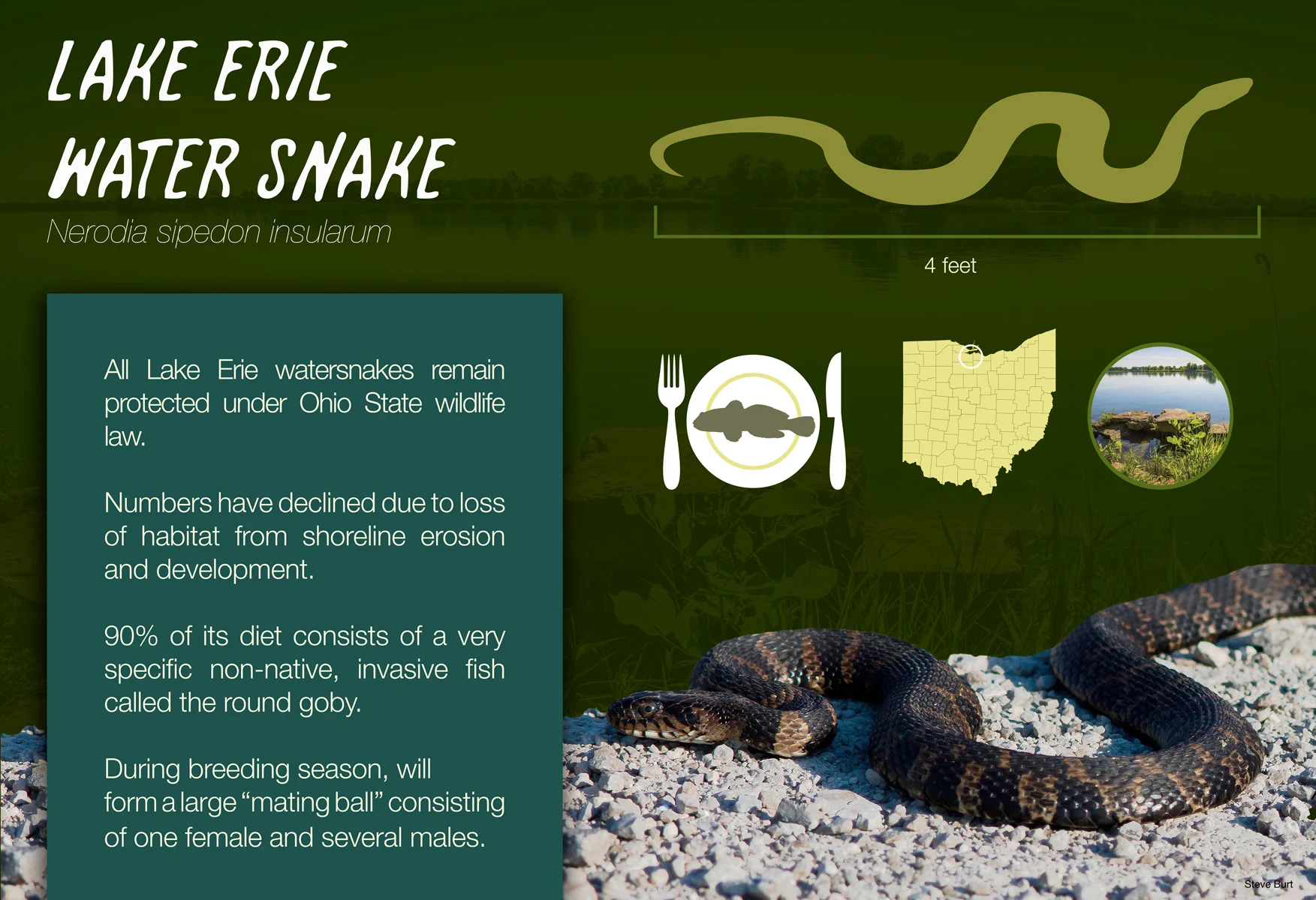 Columbus Zoo Exhibit Signage
