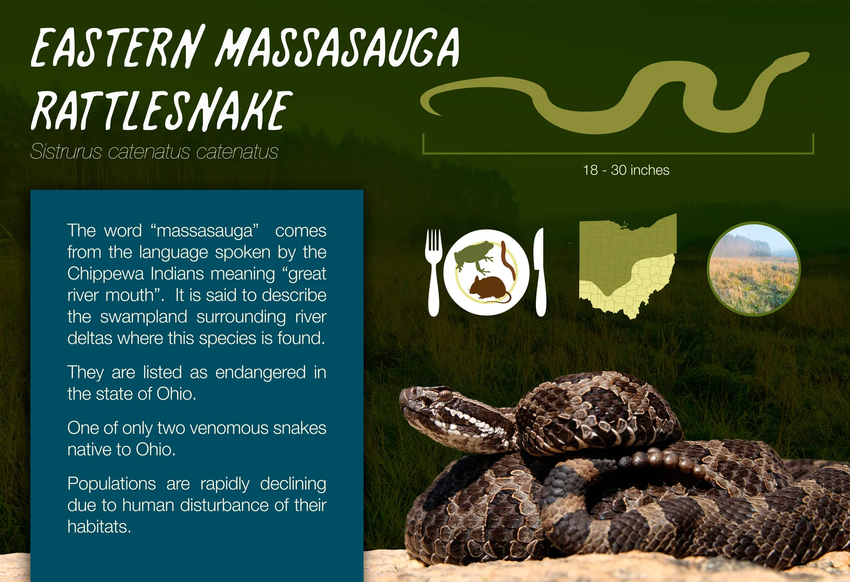 Columbus Zoo Exhibit Signage