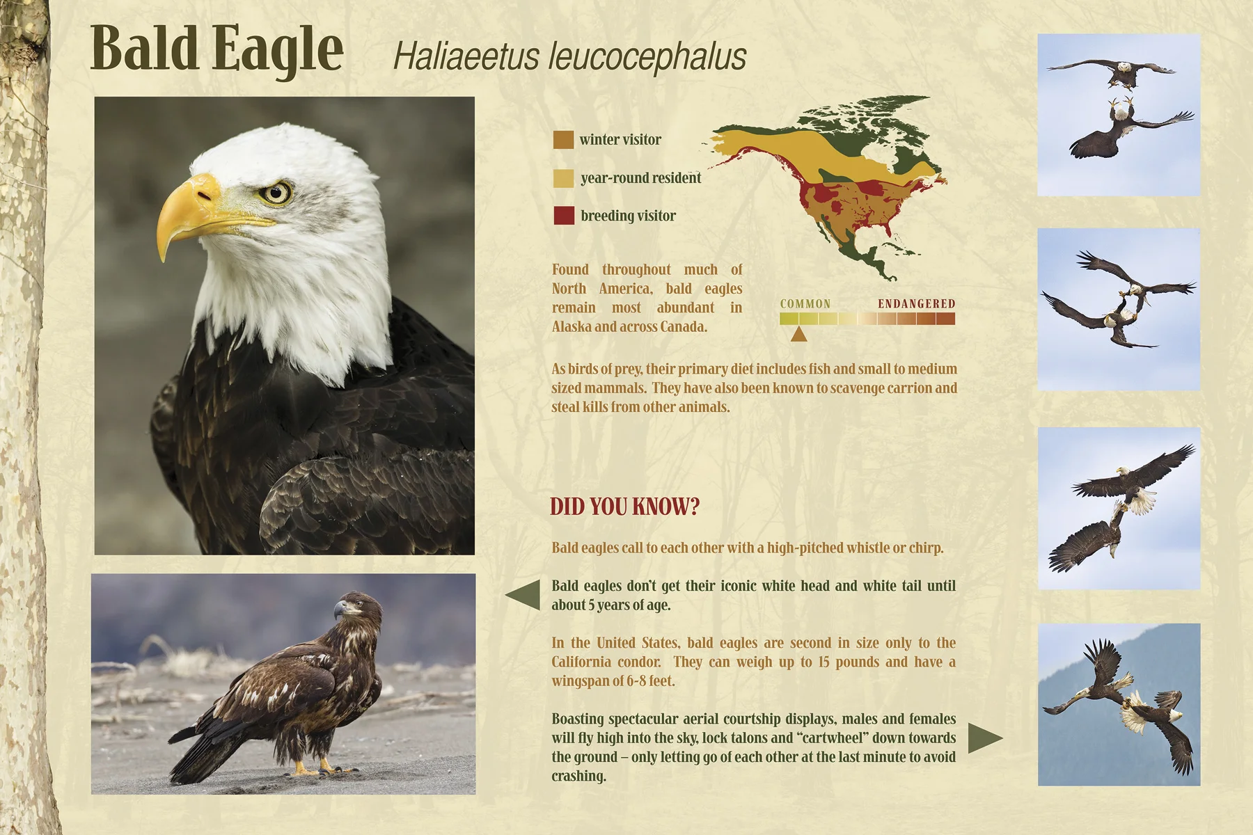Columbus Zoo Exhibit Signage