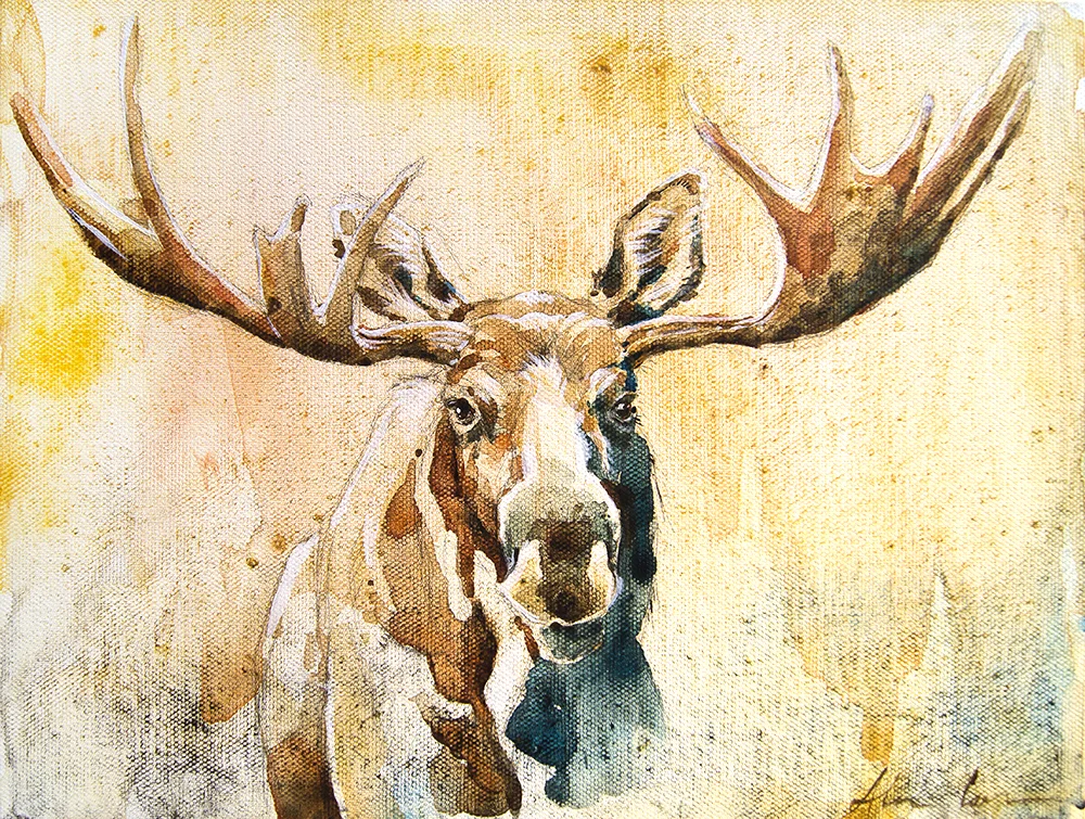 moose1-sm.jpg