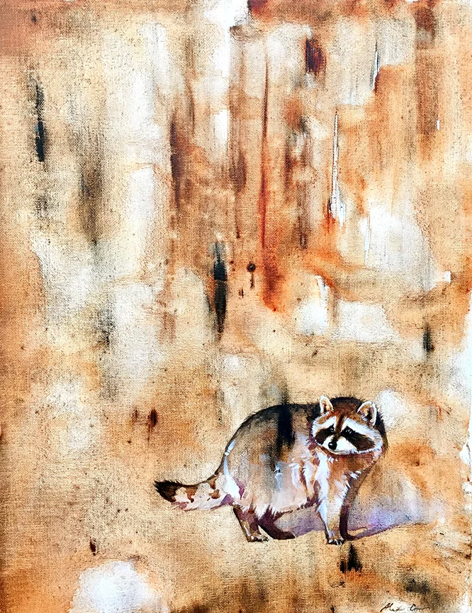 raccoon-sm.jpg