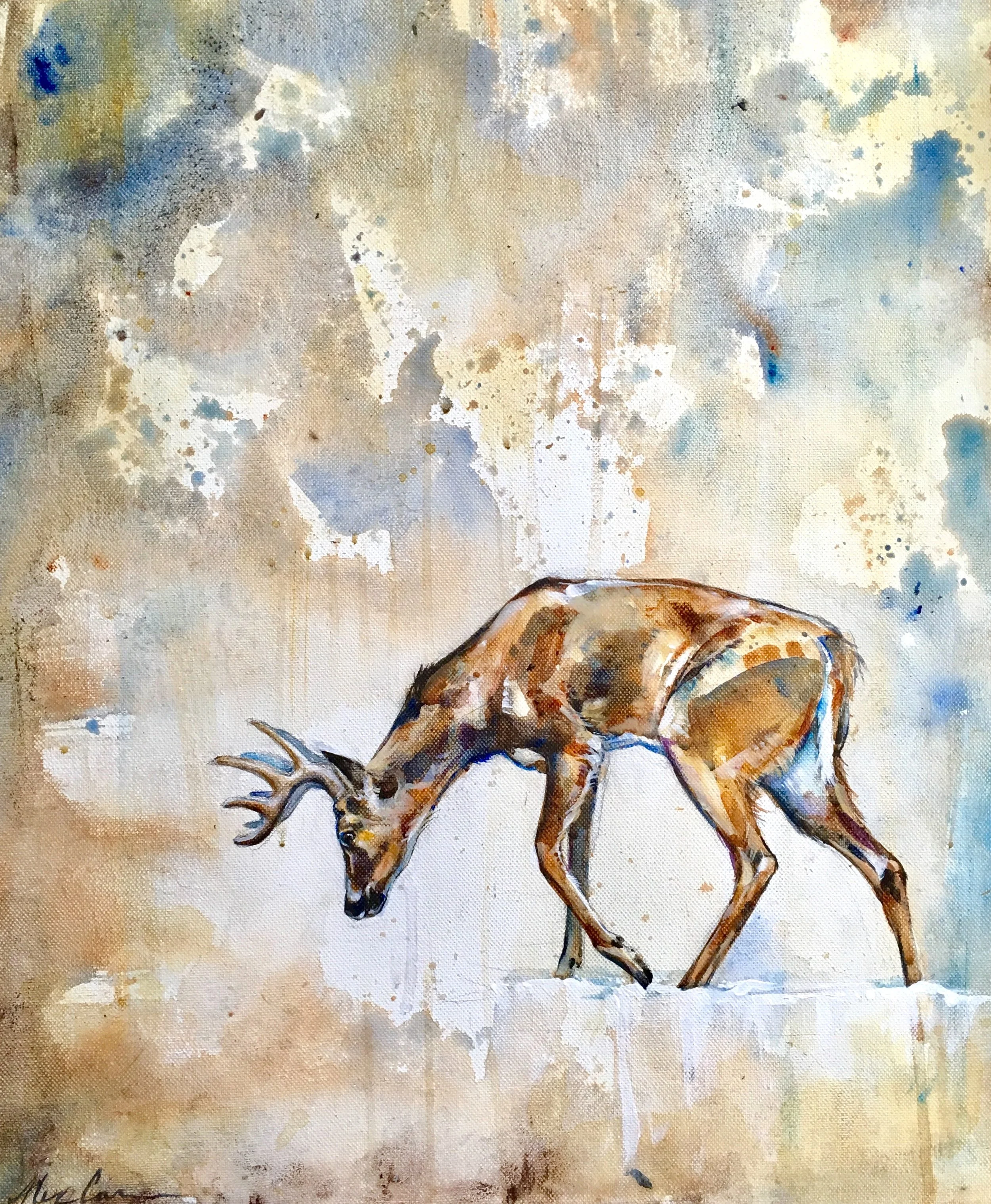 white-tail-buck1.jpeg