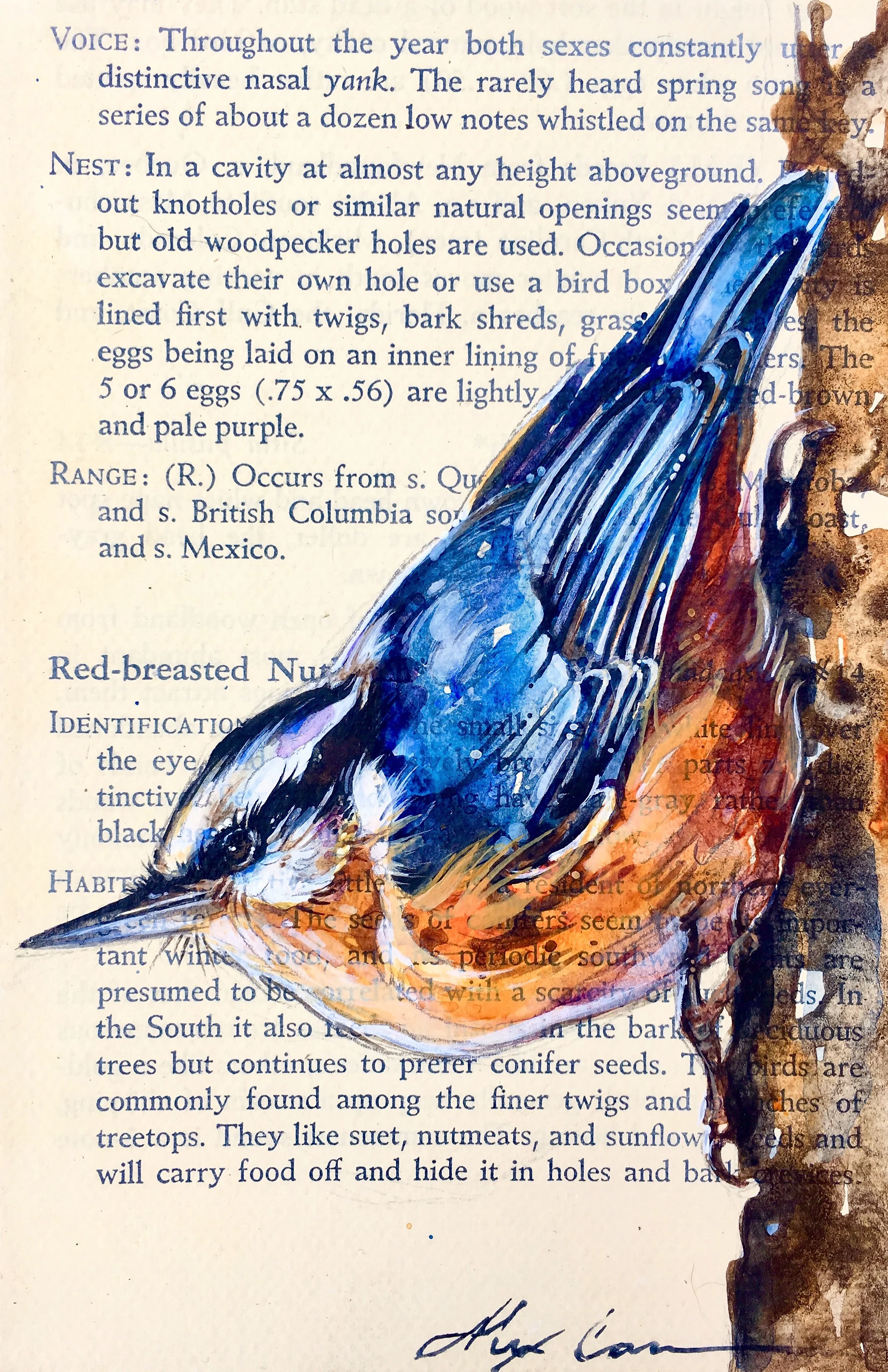 Wildlife Paintings — Alexa Carson