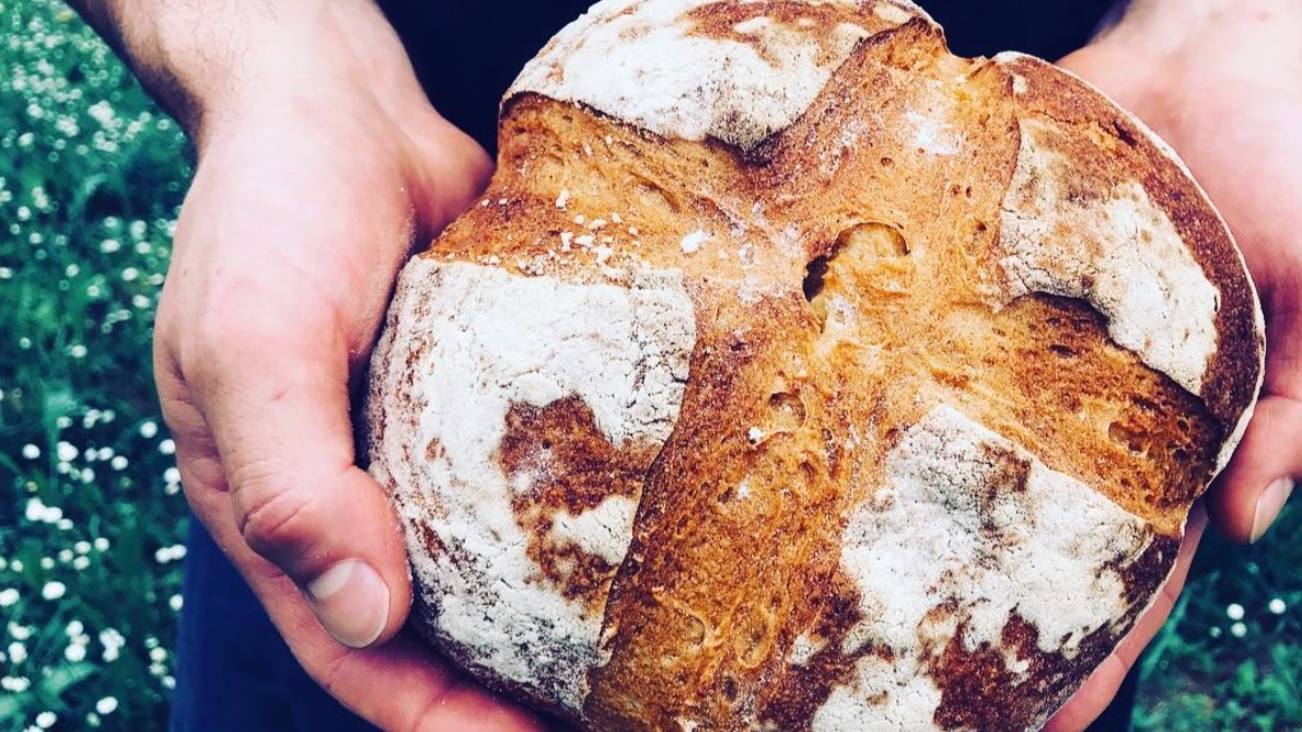 Pane