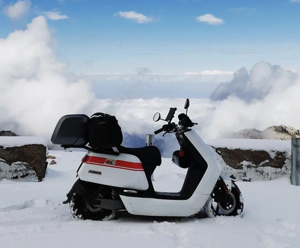 Electric Mitten Holiday Round Up - 2020