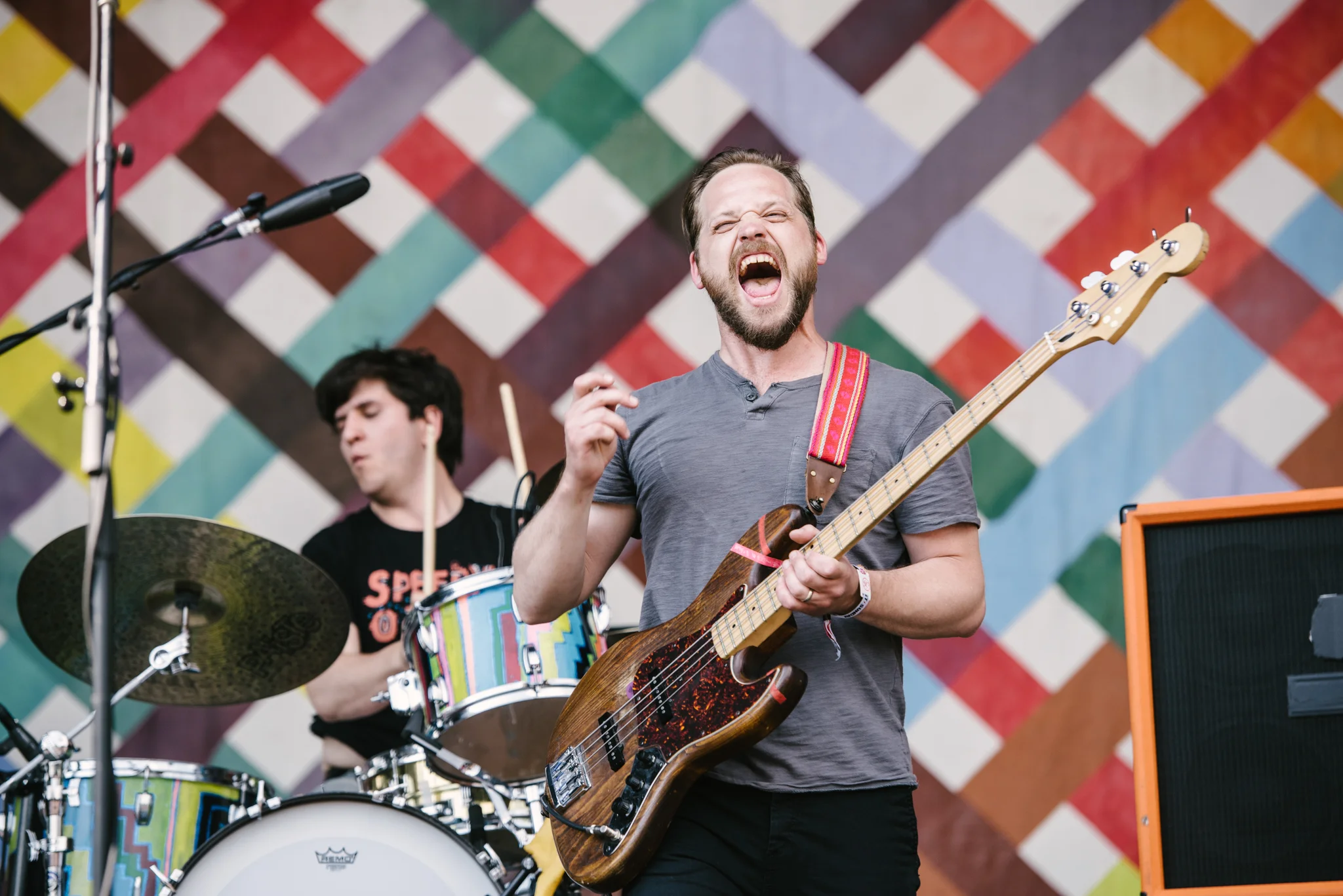 Dr. Dog