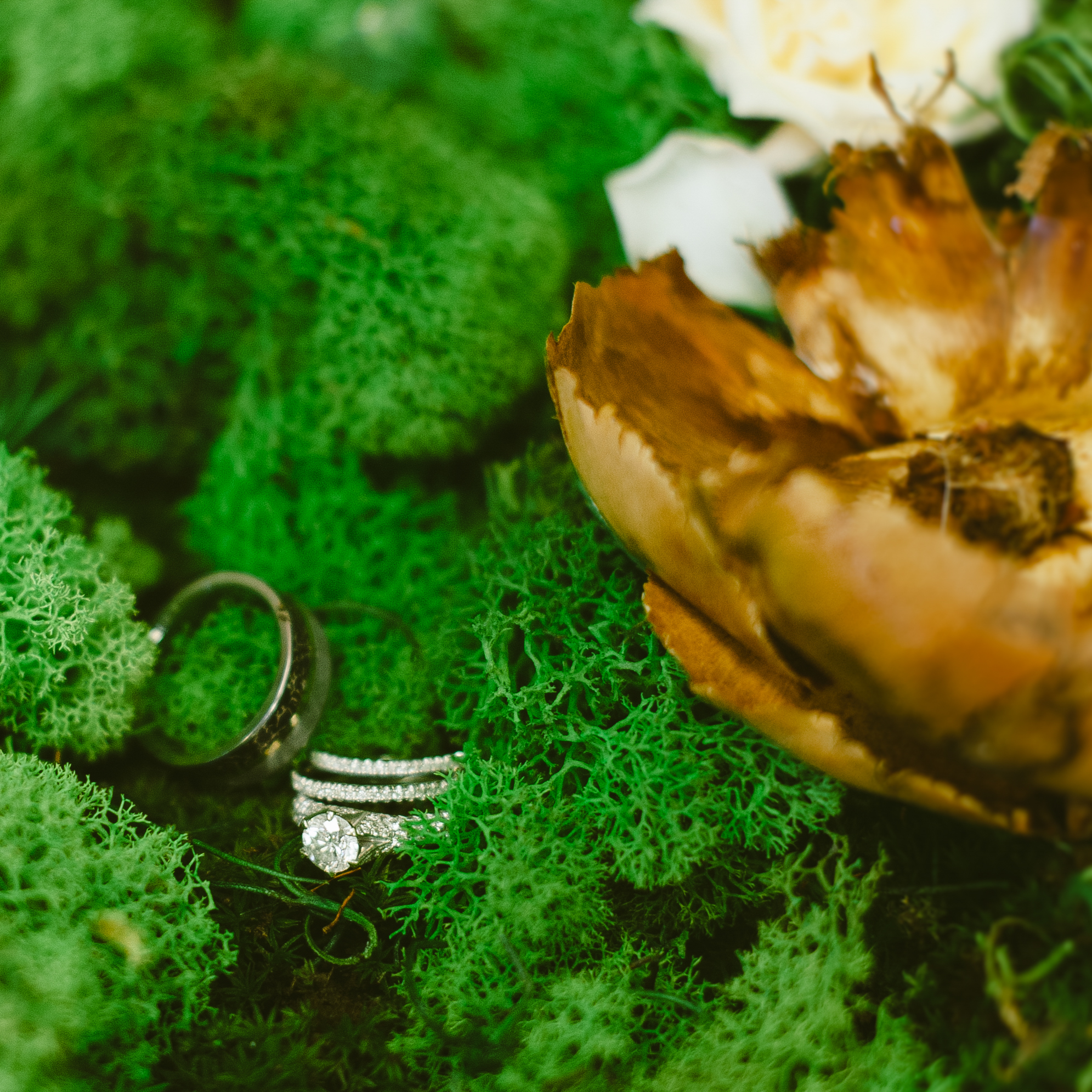 KateCauthen-WEDDINGPHOTOGRAPHY-022.jpg