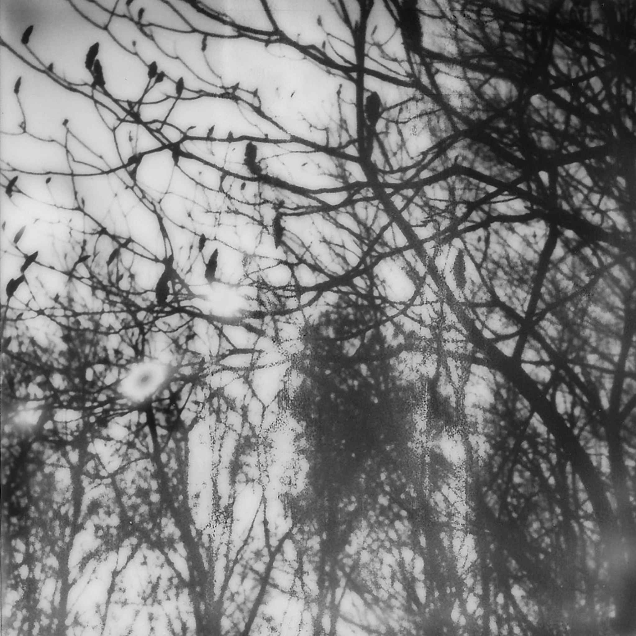 2015-KateCauthenPhotography-Polaroid-06.jpg