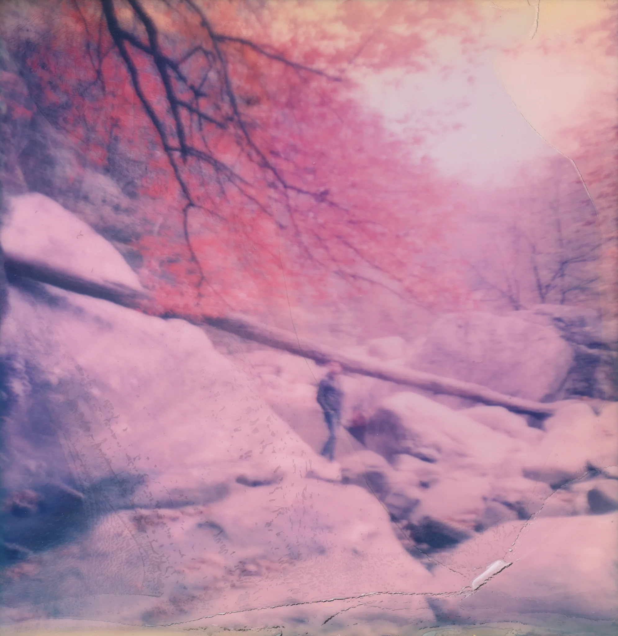 2015-KateCauthenPhotography-Polaroid-09.jpg