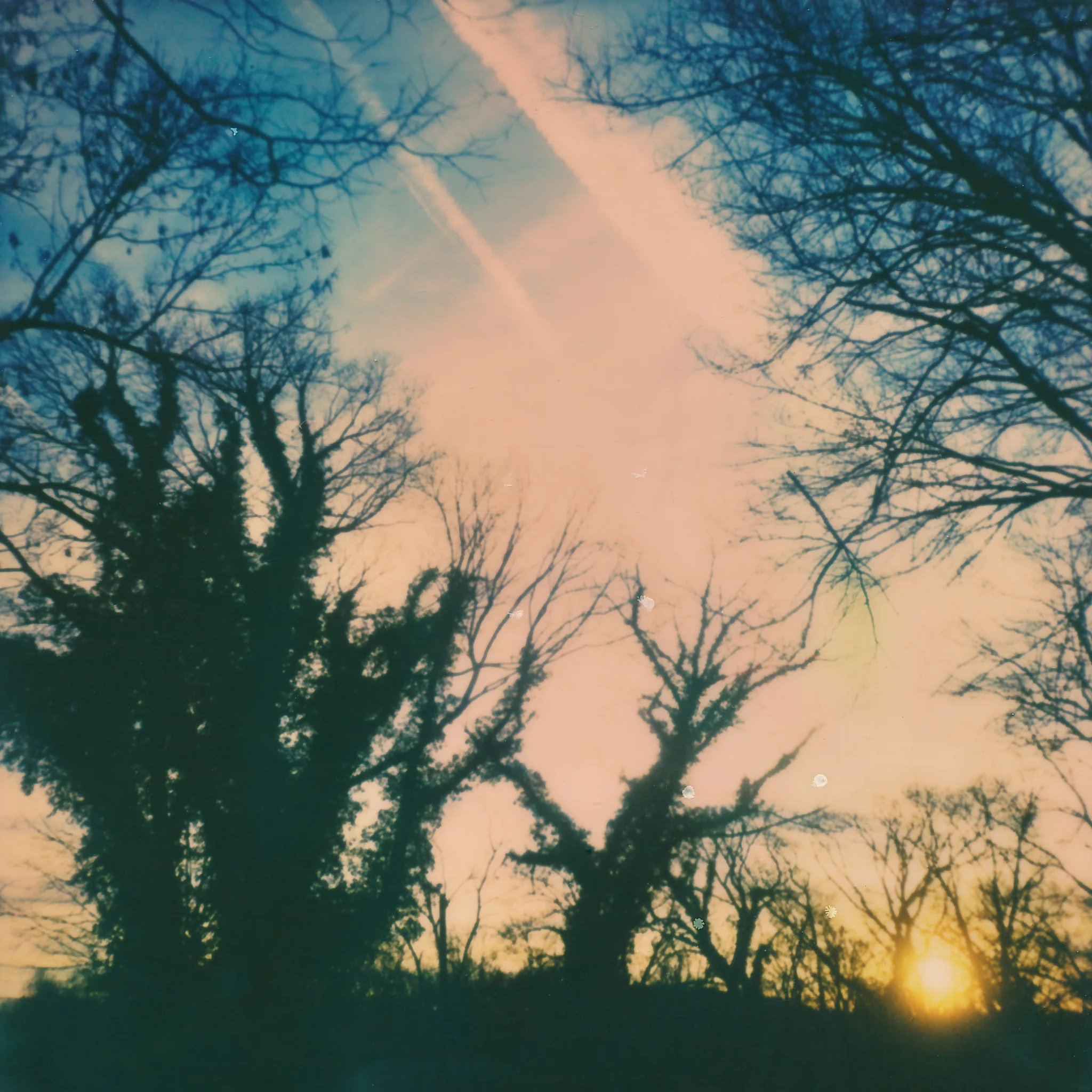 2015-KateCauthenPhotography-Polaroid-18.jpg