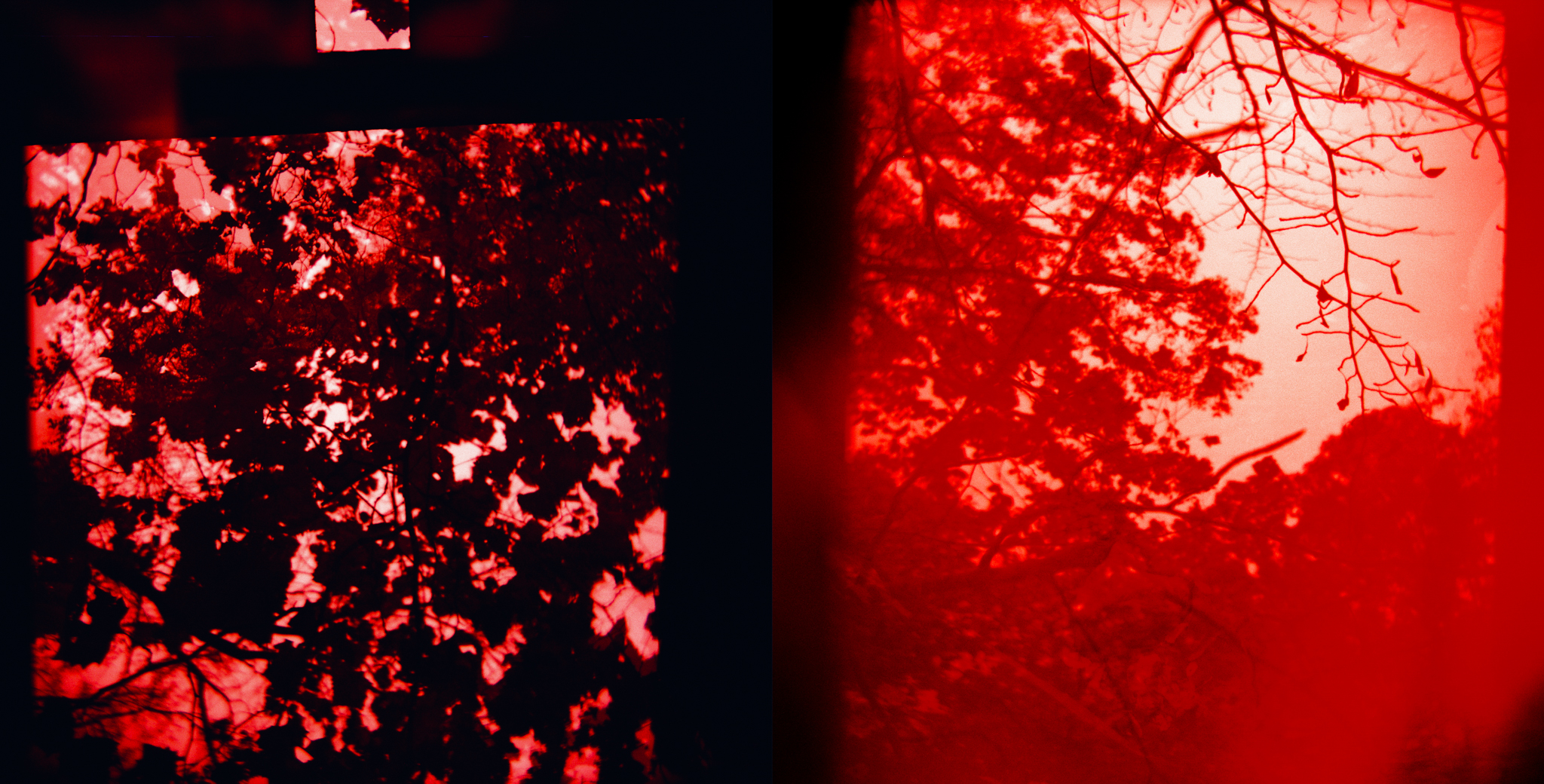 2015-KateCauthenPhotography-FineArt-Misc-13.jpg