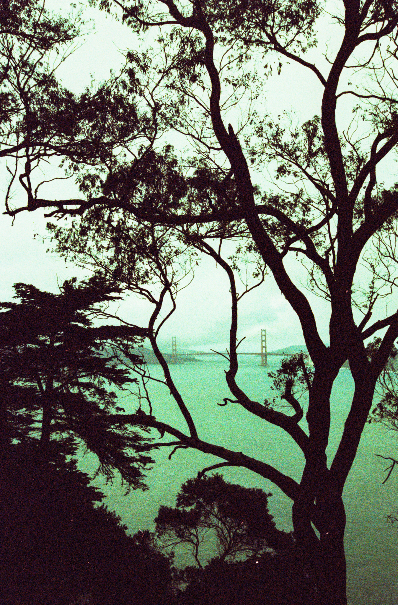 2015-KateCauthenPhotography-FineArt-Misc-21.jpg