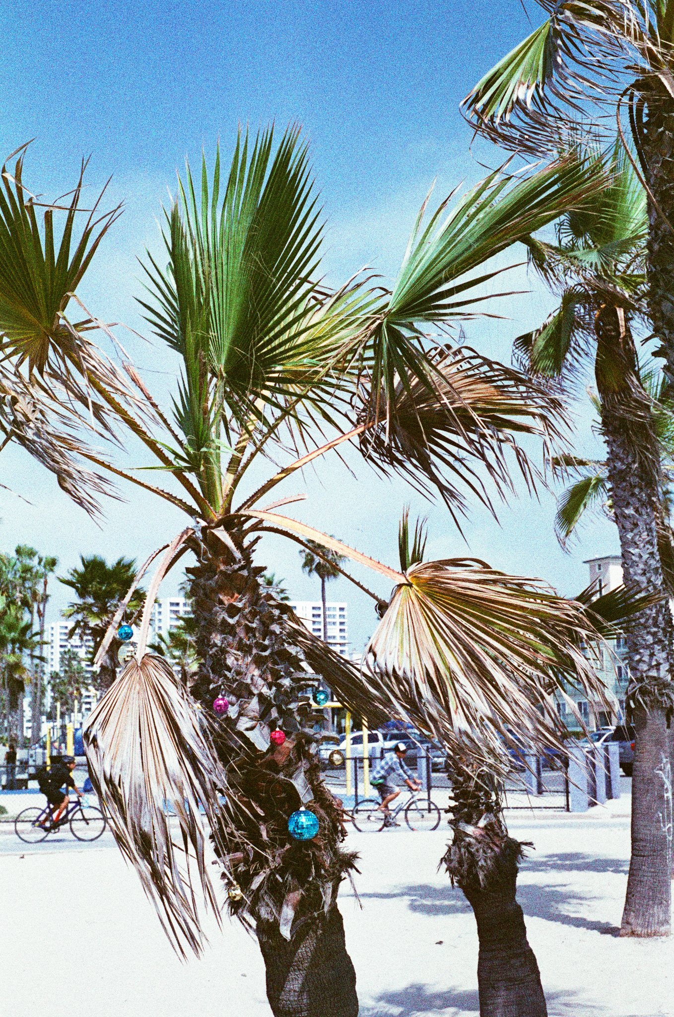 2015-KateCauthenPhotography-FineArt-Misc-24.jpg