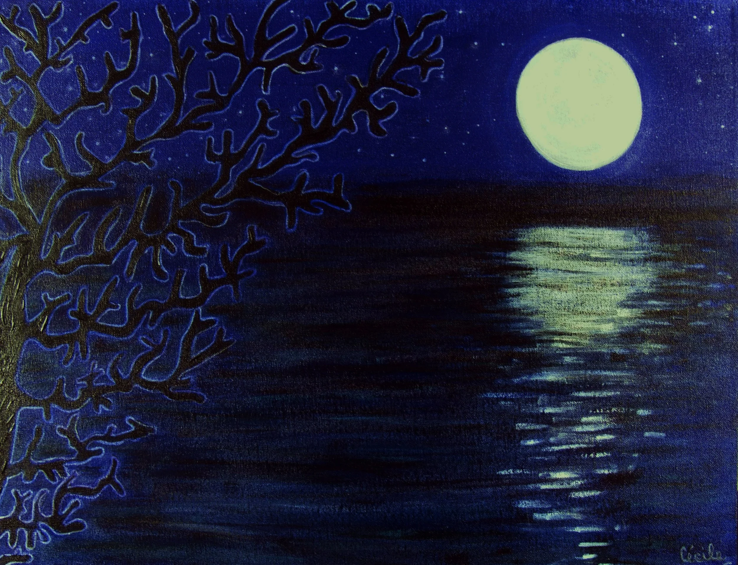 MOON REFLECTION.jpg