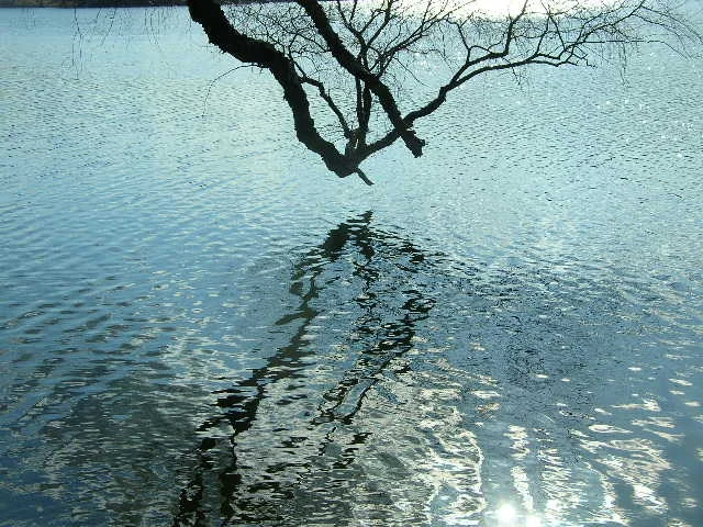 April 2008 144.JPG