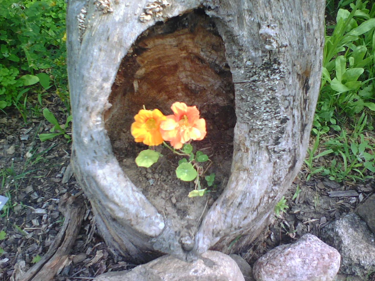 phonepix-march09 020.jpg