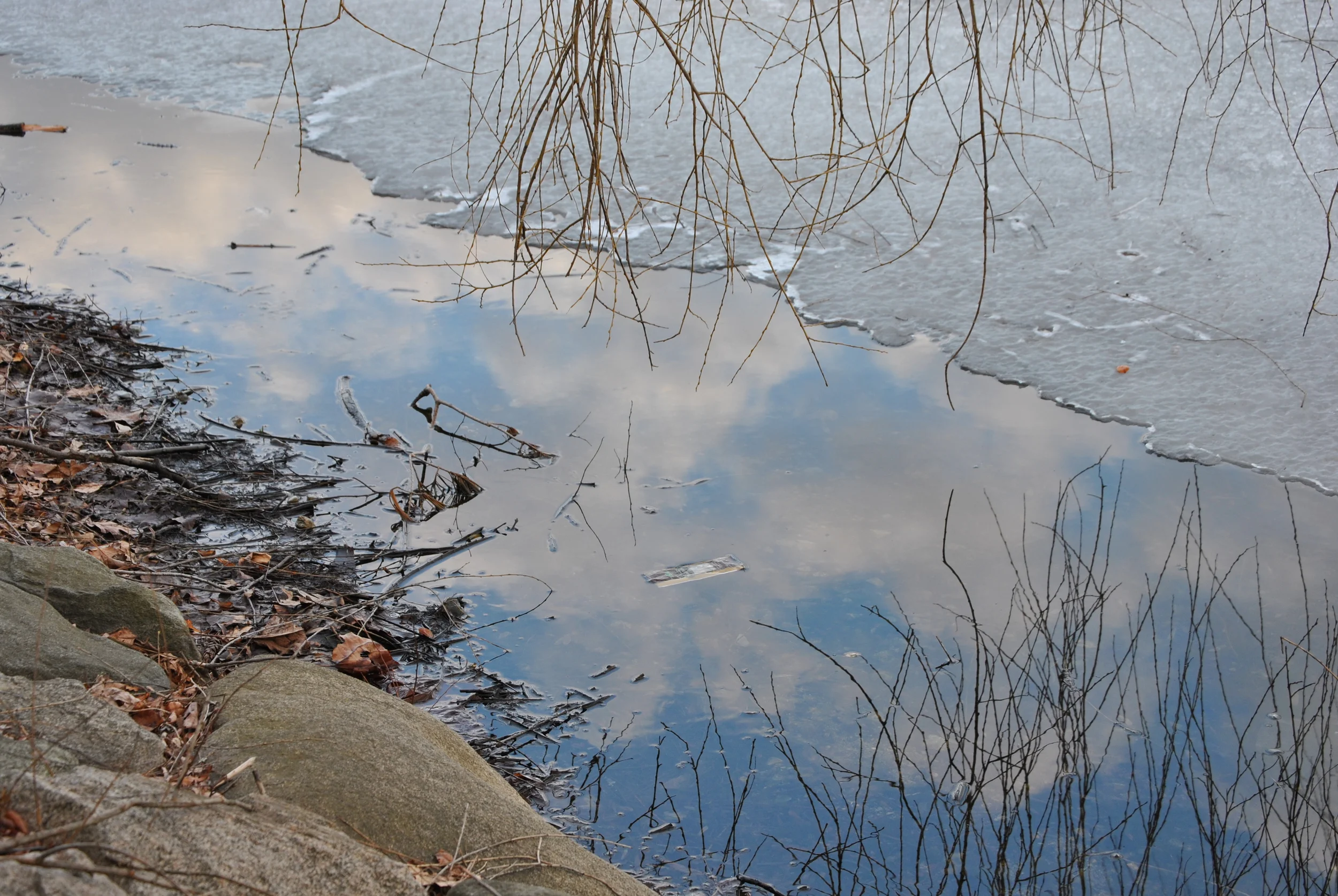 First batch February 2010 039.JPG