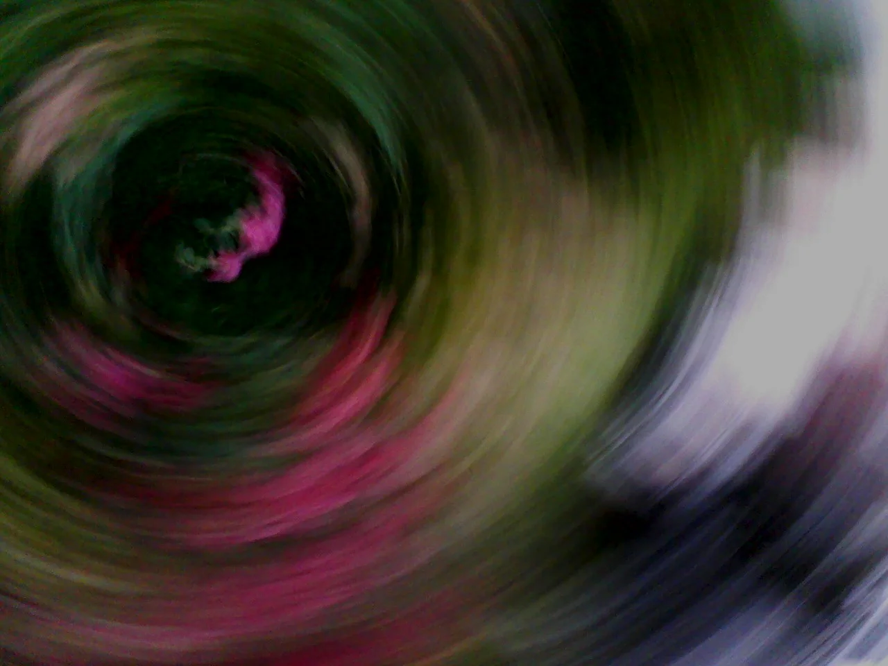 1005121811b.jpg