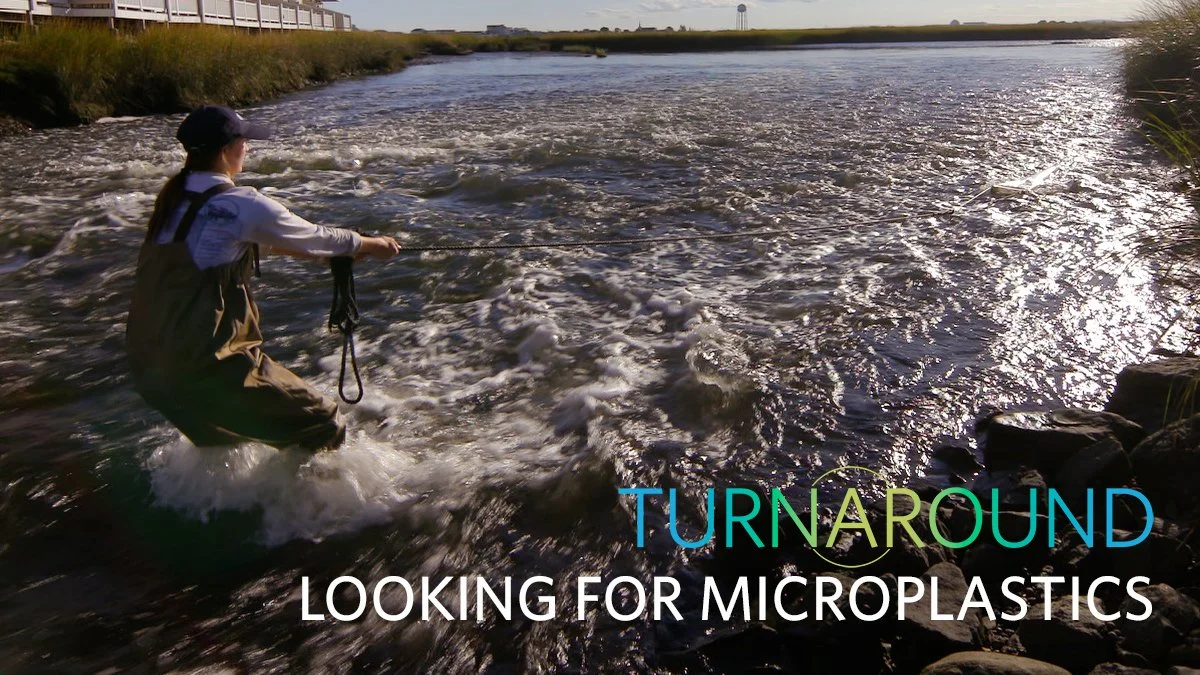 Turnaround - Looking for Microplastic