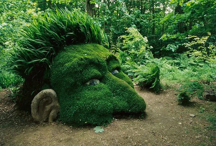 Heligan_Giants_Head_sm.jpg