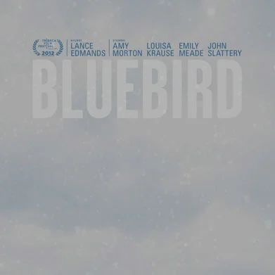 Bluebird