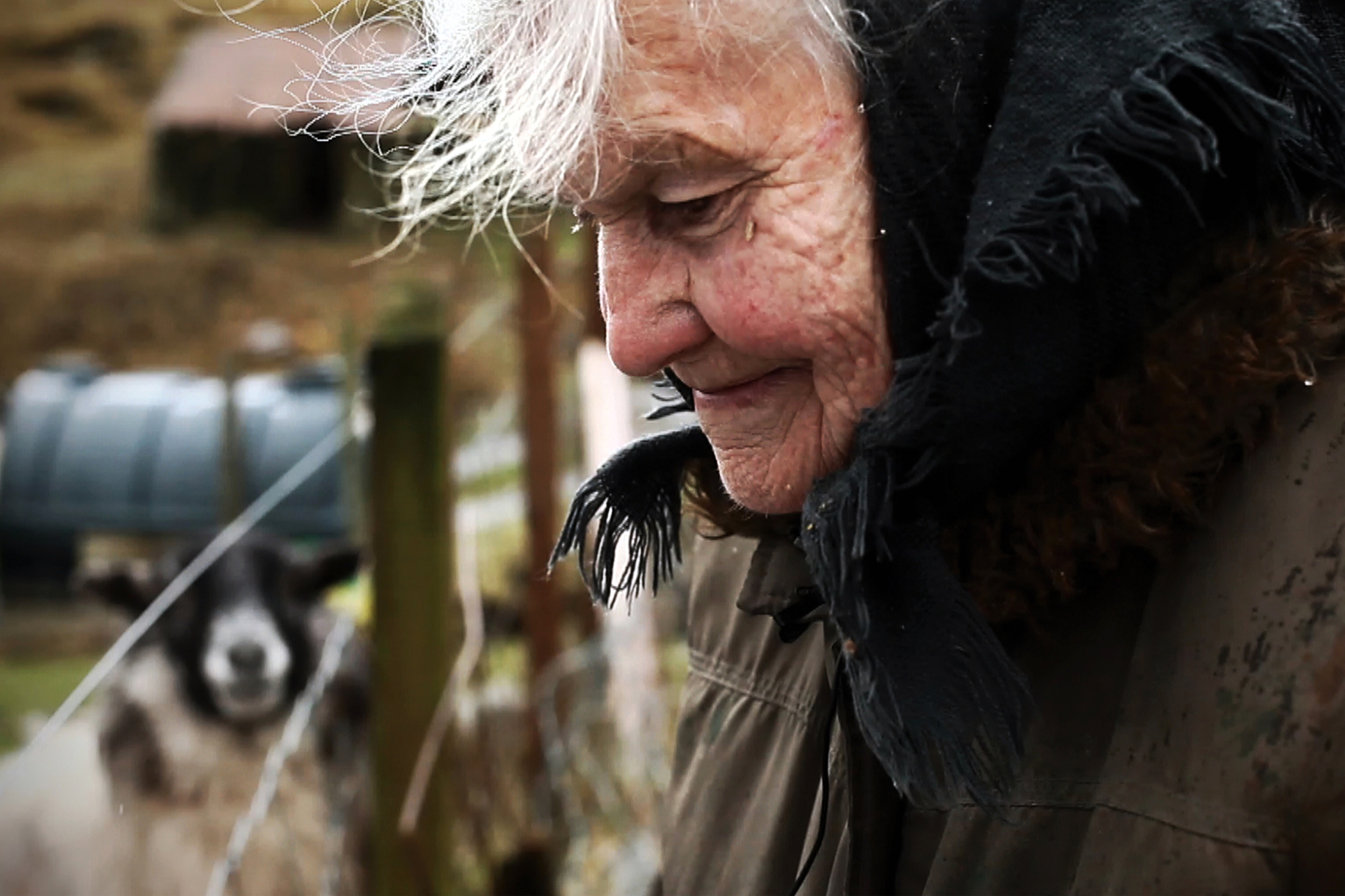 Cailleach