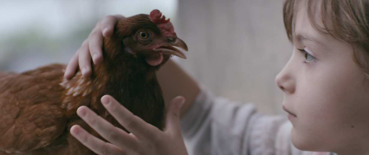The Chicken