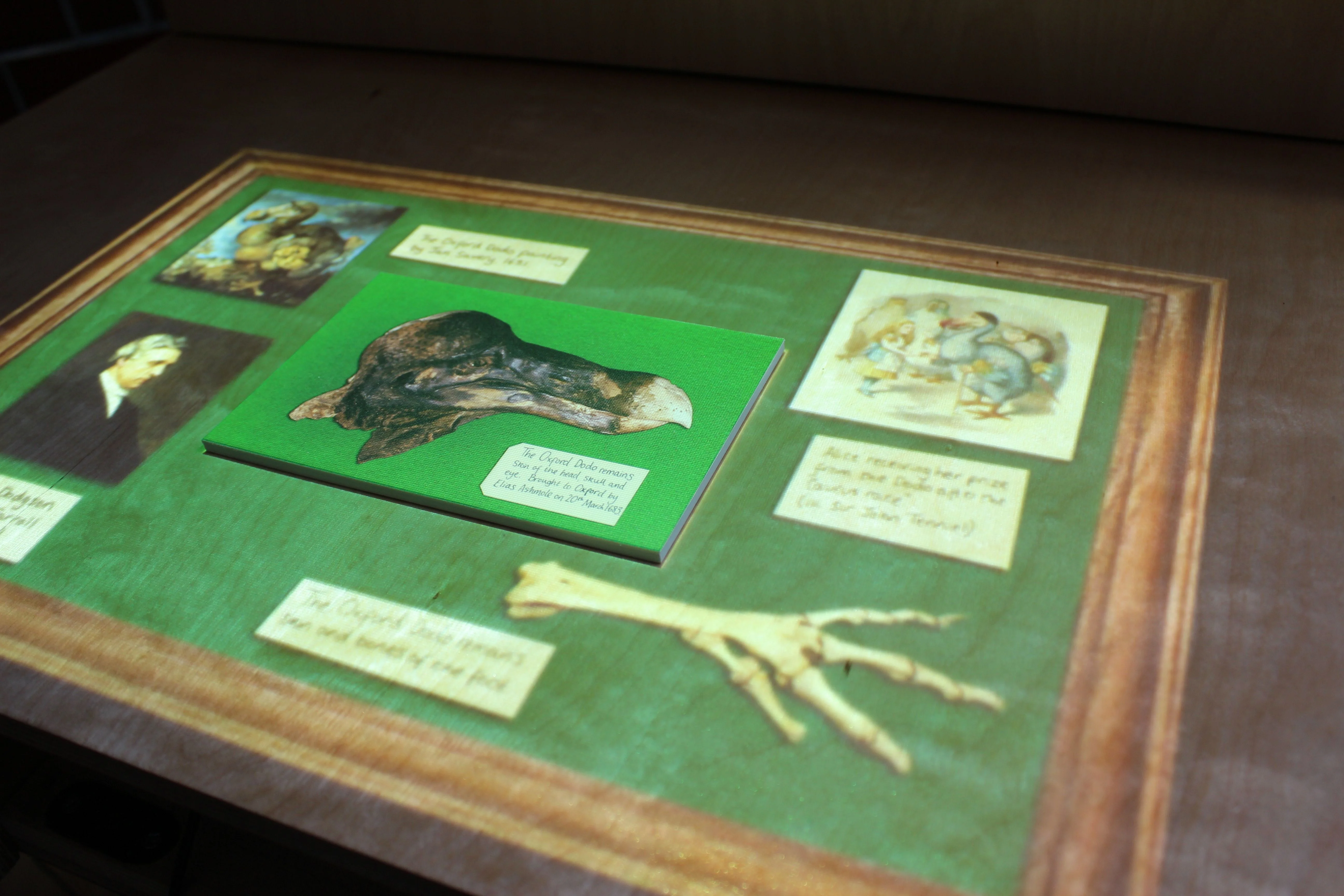 Alice in Wonderland Jukebox for Museum of Oxford