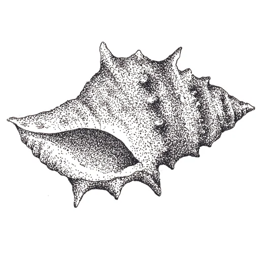 Illustration by Hugh Cowling
