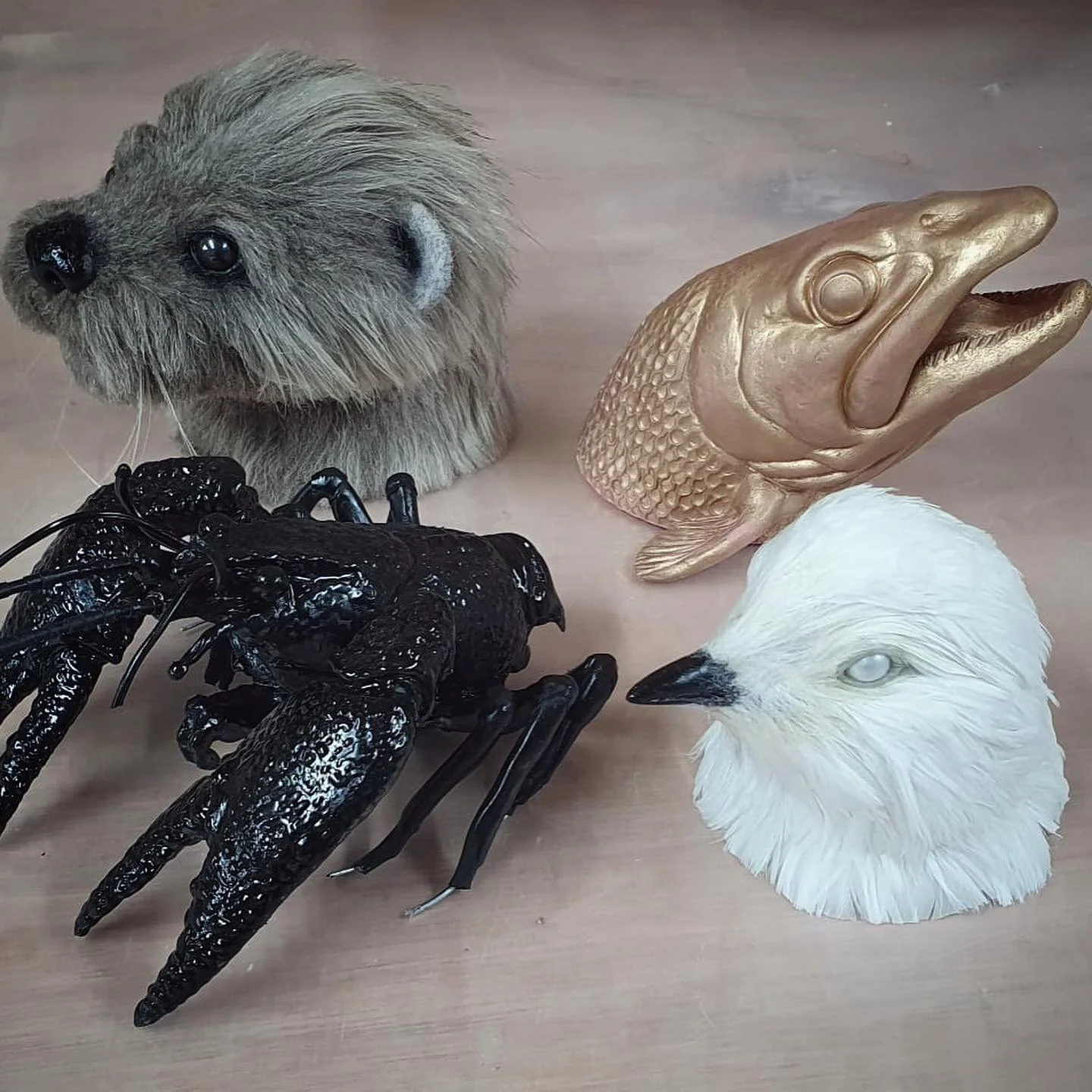 We recently designed and installed a series of feely boxes @rockmillcentre. Place your hand inside the holes and guess which of the four animals are inside. 

Models made by Sophia Daly-Rossin. Carpentry by JB Woodwork. 

Thanks to HPBC Councillor In