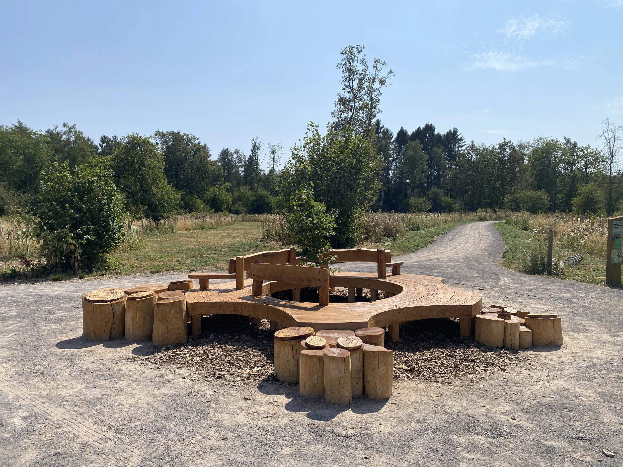 Westonbirt Interpretive Seating
