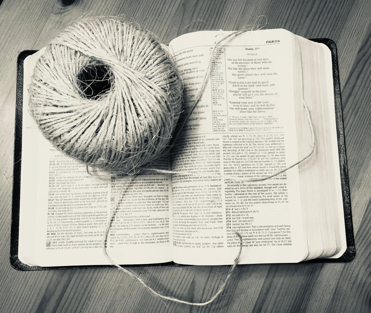 Hanging By a Thread