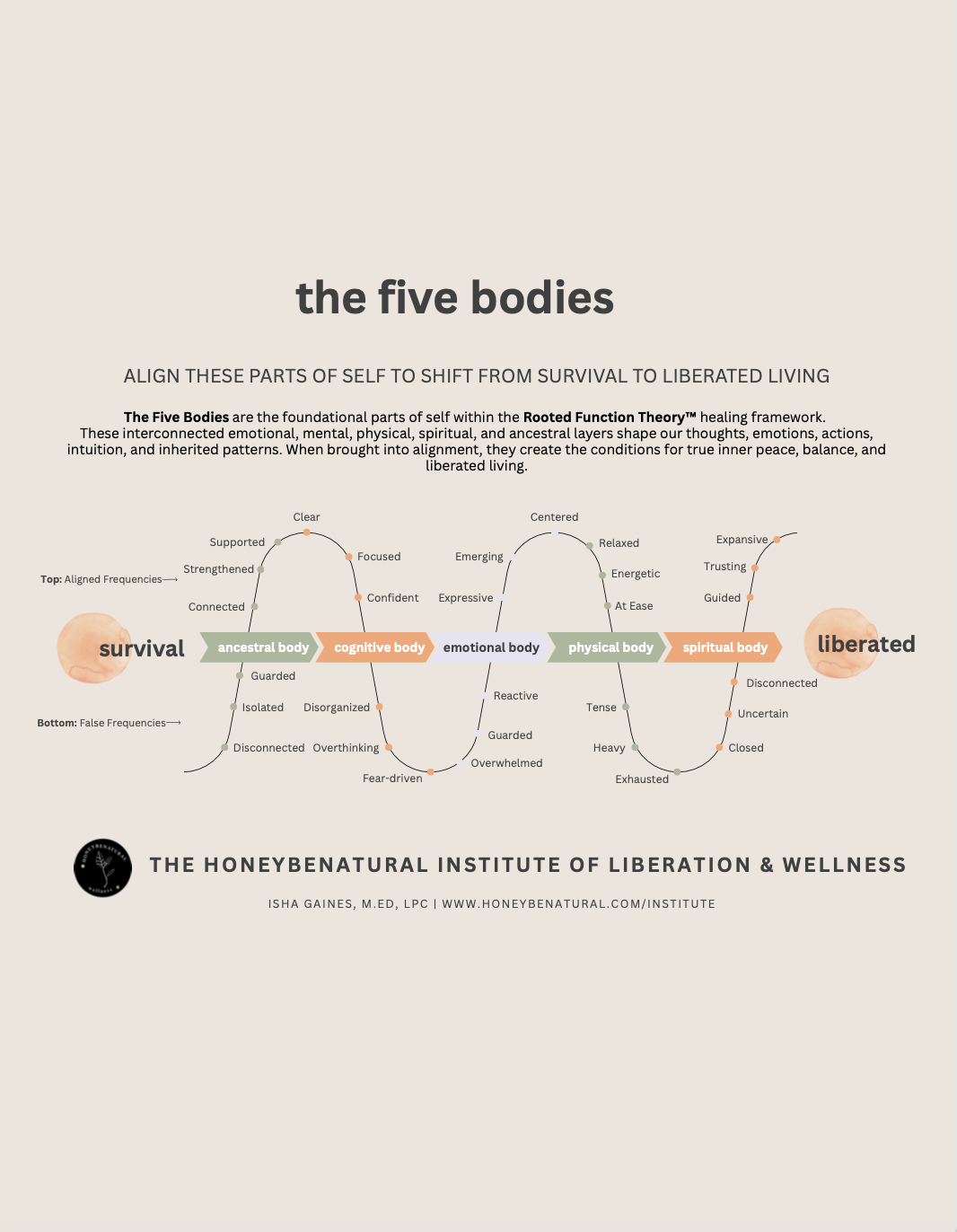 Screenshot 2025-12-10 at 5.48.29 PM.png