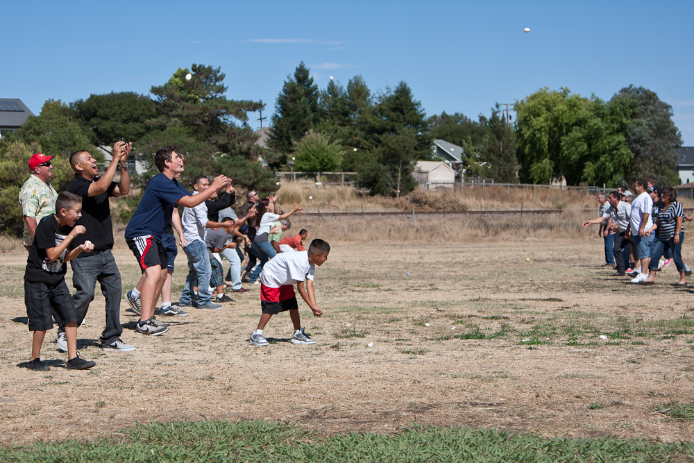 pfarms_picnic_20127615.png