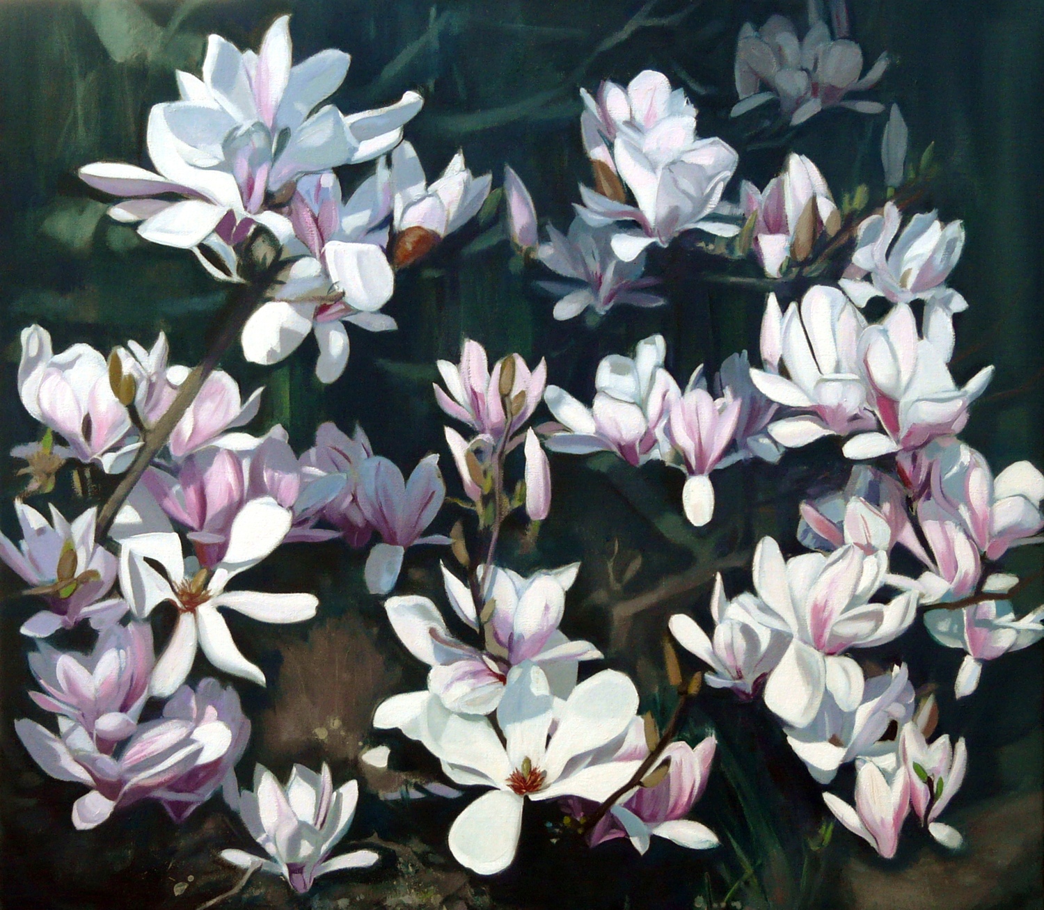  Magnolia, Oil on Linen, 75x85cm  Private Collection 