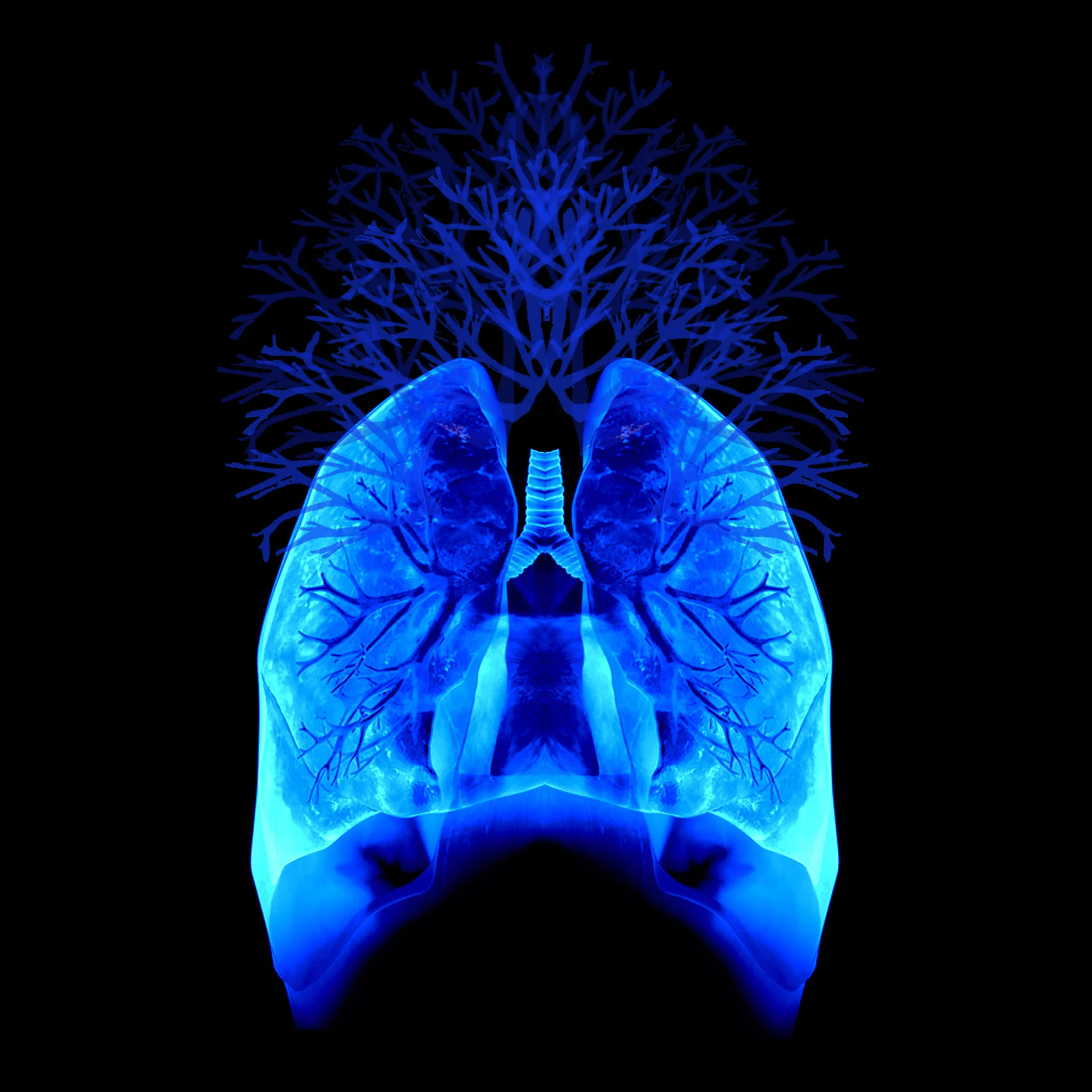 Embody: Air