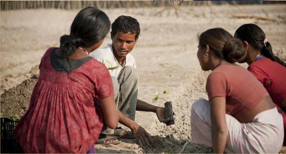 Progetti di agricoltura alveo in Bangladesh