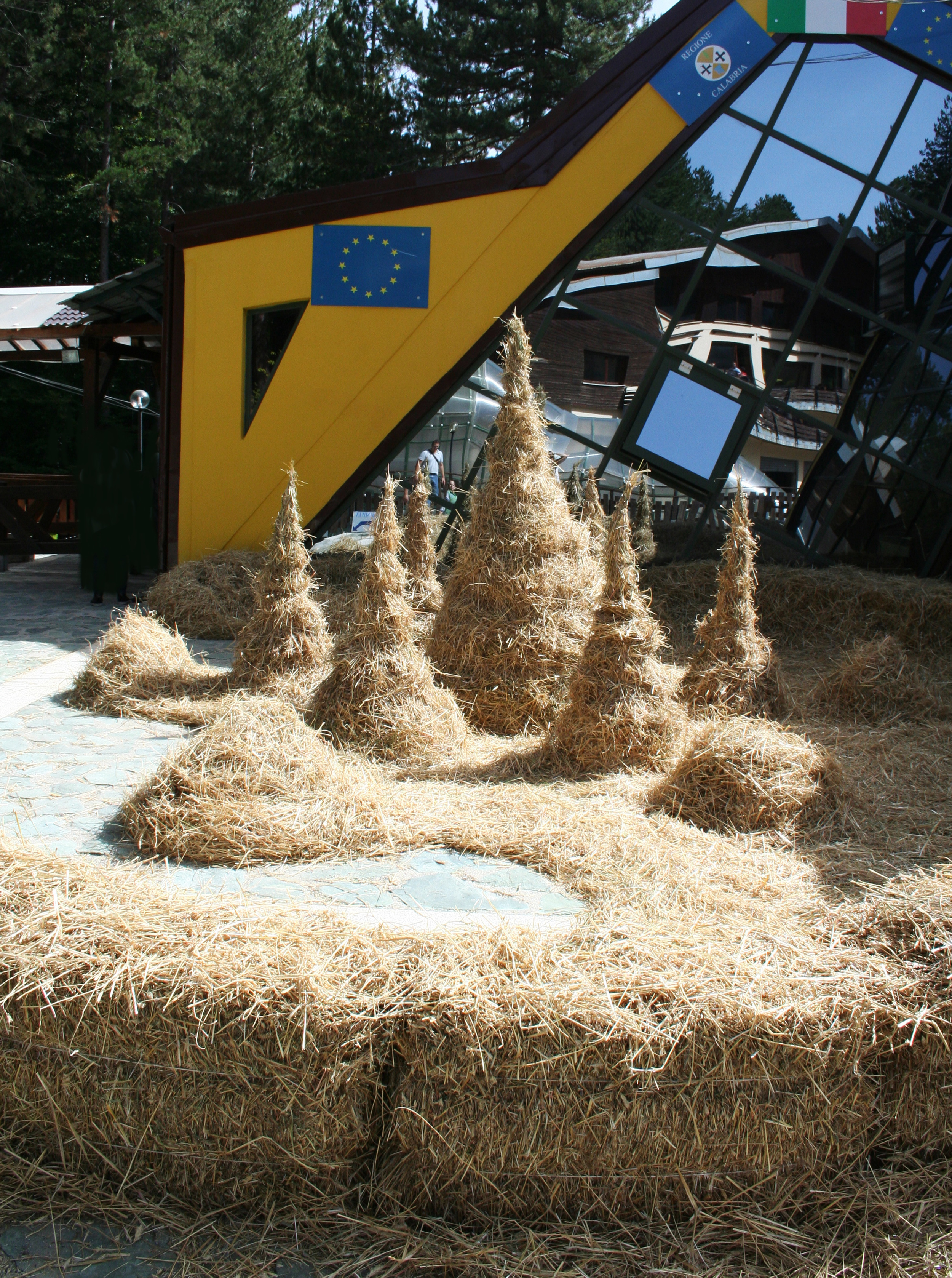 Frutto Meridiano (the installation)